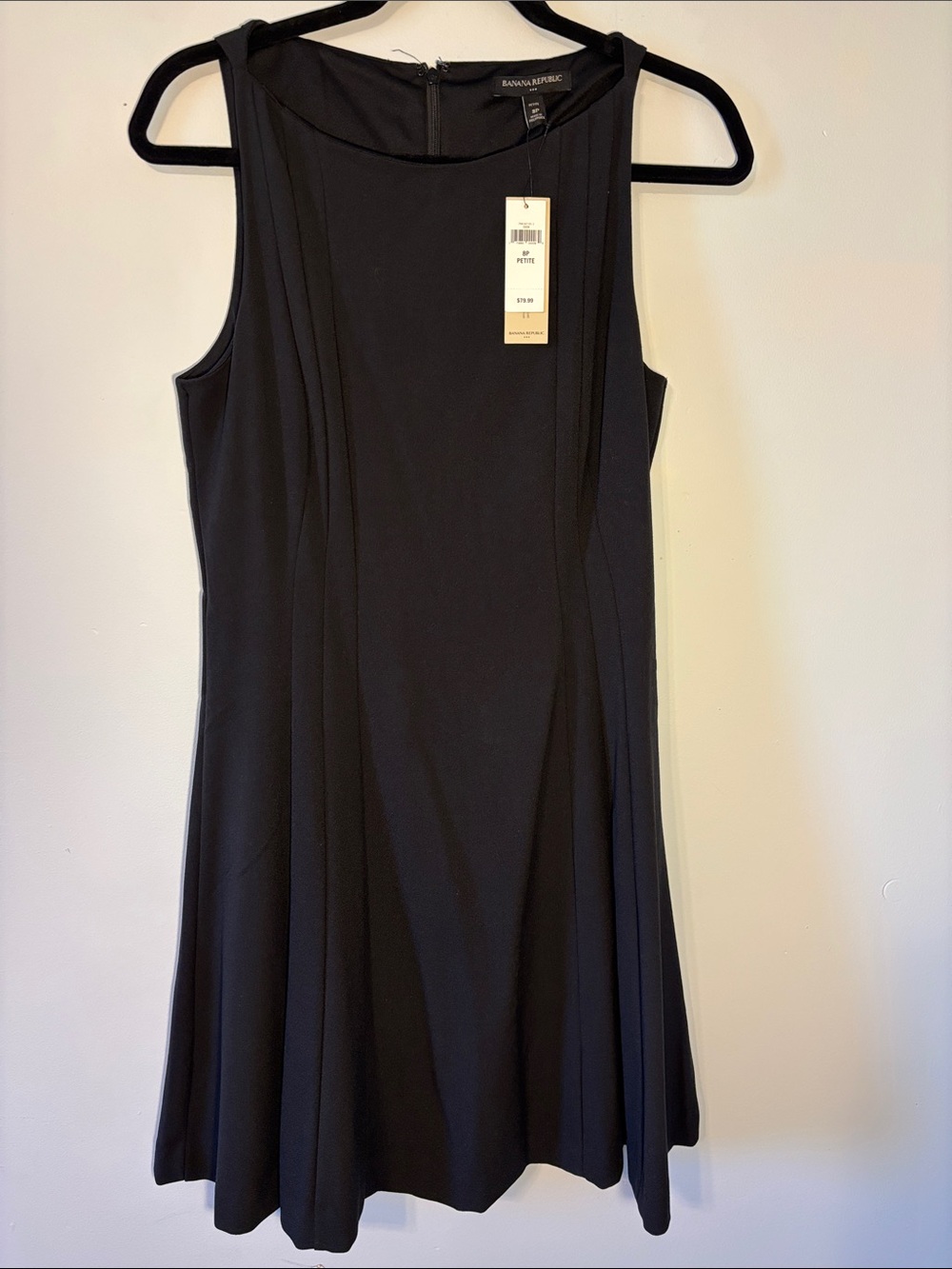 Banana Republic Black Sleeveless Fit-and-Flare Dress